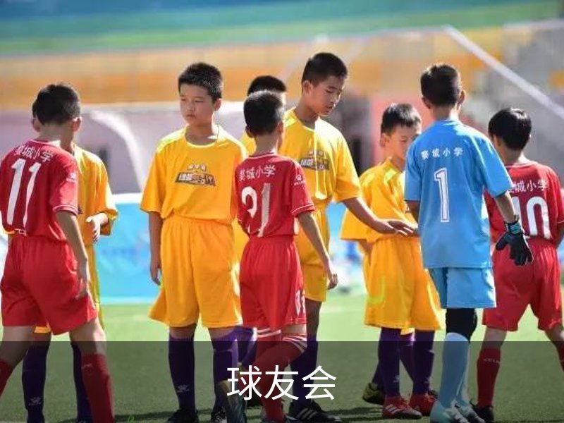 了解球友会